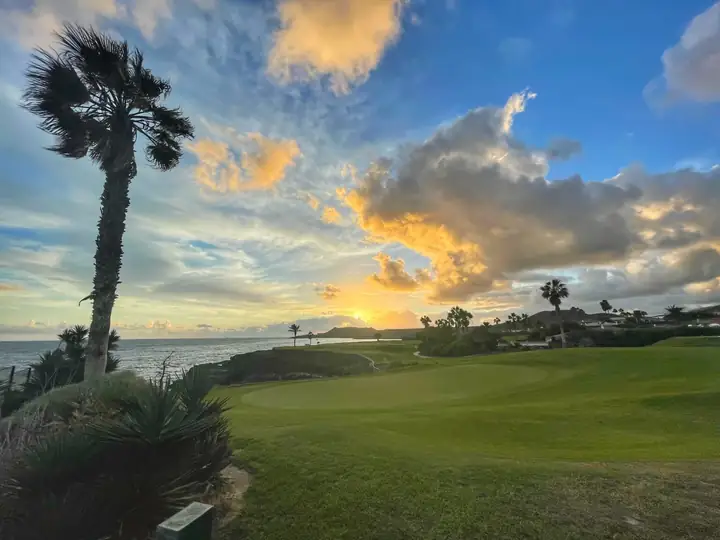 Golf course with palm trees under a colourful sky